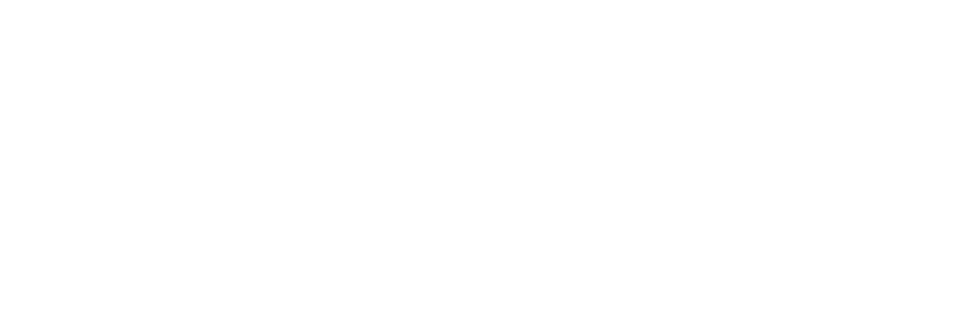 Logo Hoummi blanc